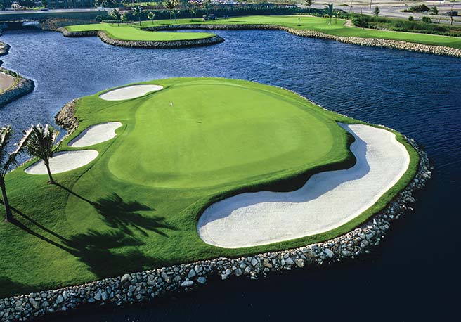 Ritz-Carlton Golf Club, Grand Cayman (Blue Tip)