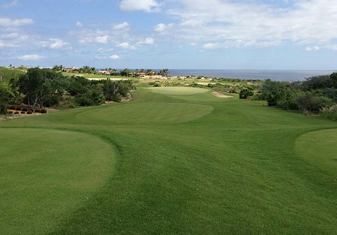 Puerto Los Cabos