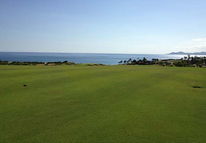 Puerto Los Cabos