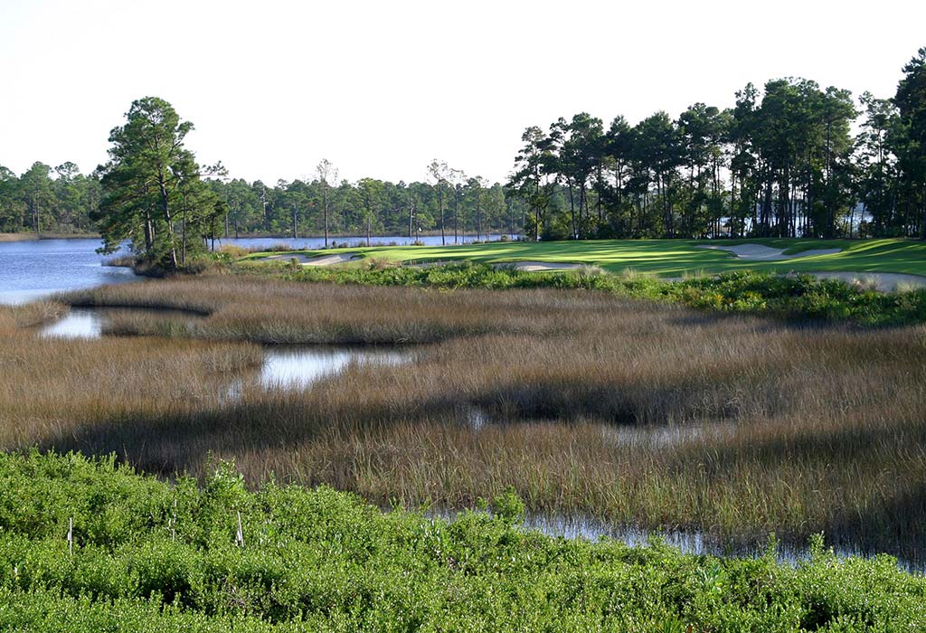 Shark’s Tooth Golf Club