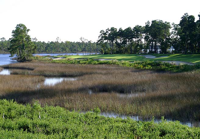 Shark’s Tooth Golf Club