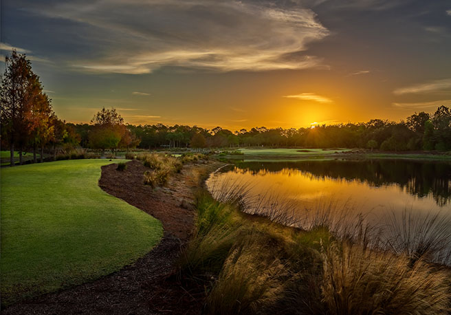 Tiburón Golf Club (Black)