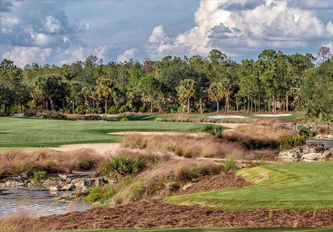 Tiburón Golf Club (Black)