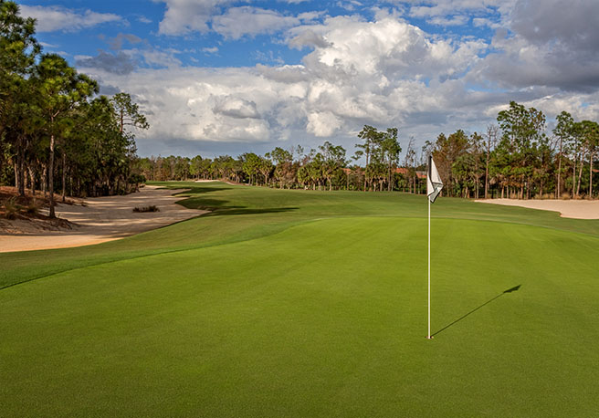 Tiburón Golf Club (Black)