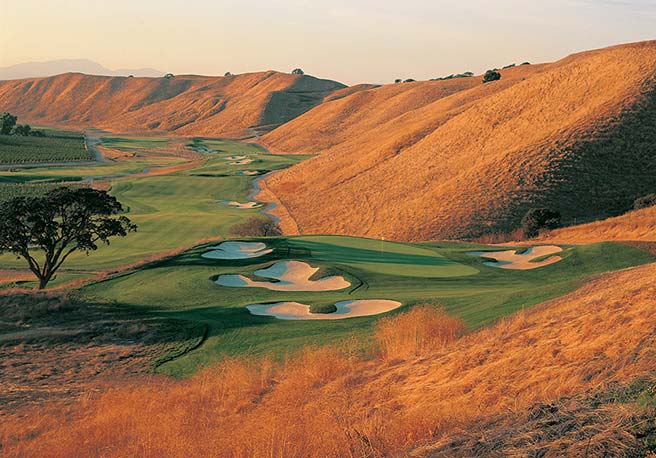Course at Wente Vineyards