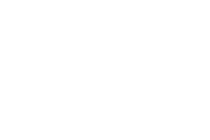 Vietnam Tourism Logo